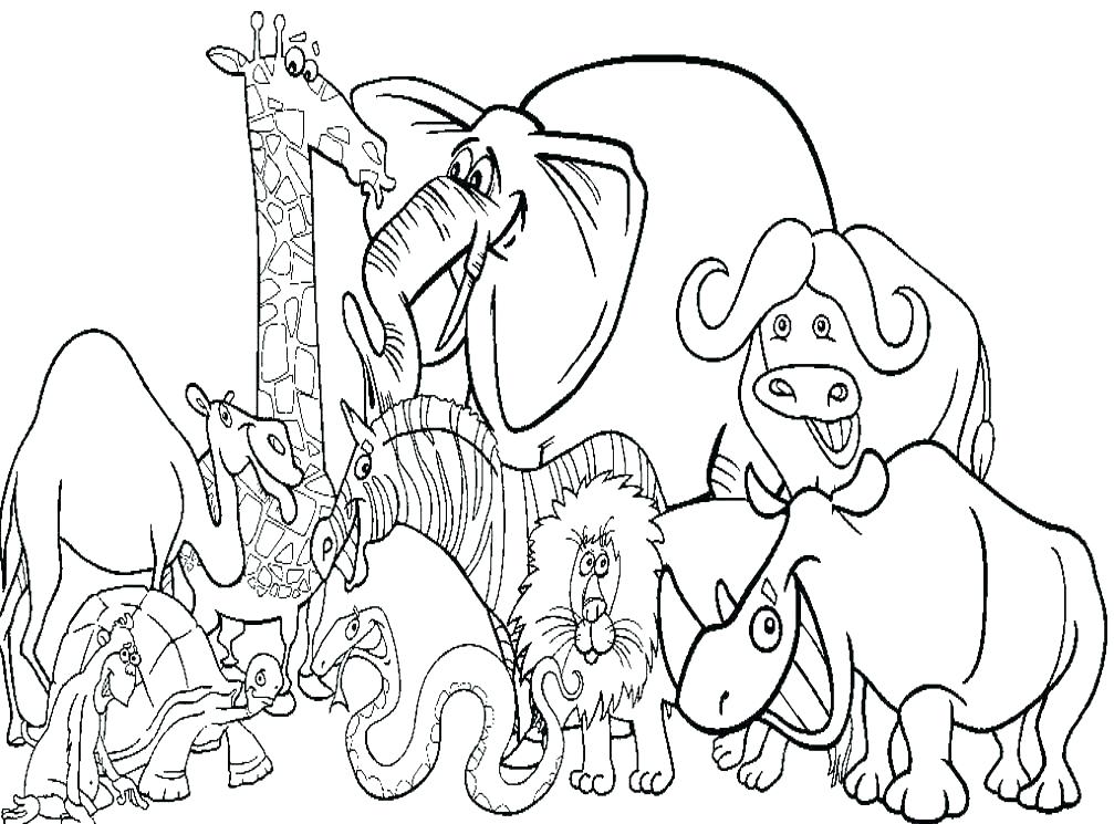 Zoo Animals Coloring Page Animals Coloring Pages Printable Animal 1007x745 Zoo Animals Coloring Page Animals Coloring Pages Printable Animal