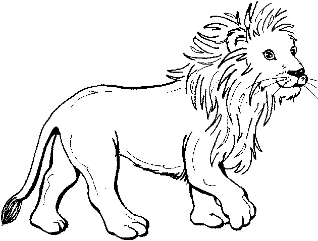 Zoo Animals Coloring Pages New Free Zoo Animals Coloring Pages 630x478 Zoo Animals Coloring Pages New Free Zoo Animals Coloring Pages