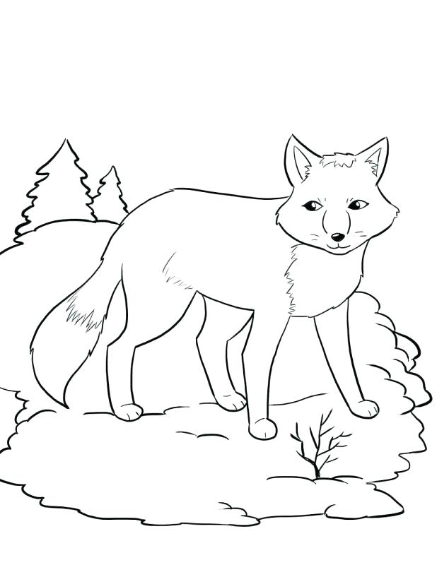 Zoo Pictures To Color Full Size Of Zoo Animals Free Coloring Pages 618x800 Zoo Pictures To Color Full Size Of Zoo Animals Free Coloring Pages