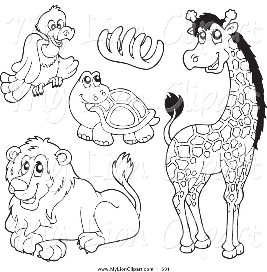 Improved Zoo Animal Pictures To Color Animals Coloring Page Free 921x938 Improved Zoo Animal Pictures To Color Animals Coloring Page Free