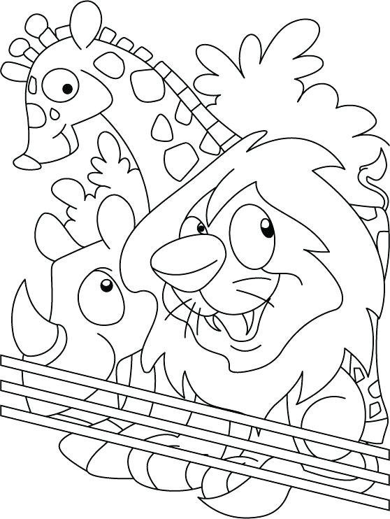 Zoo Coloring Page Download Free Zoo Coloring Page For Kids Cute 558x742 Zoo Coloring Page Download Free Zoo Coloring Page For Kids Cute