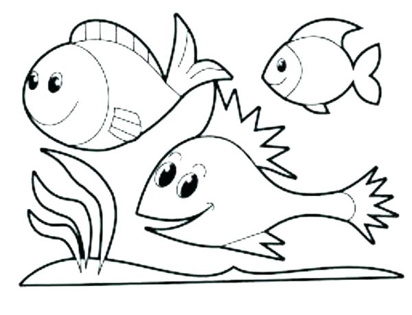 Zoo Coloring Pages For Preschoolers Page Image Images Animals 600x458 Zoo Coloring Pages For Preschoolers Page Image Images Animals
