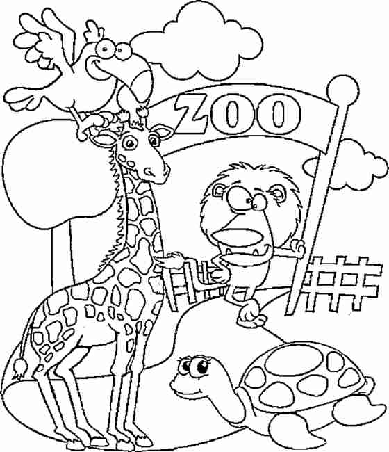 Free Printable Coloring Pages Zoo Animals Openwheel Org Kids 560x650 Free Printable Coloring Pages Zoo Animals Openwheel Org Kids