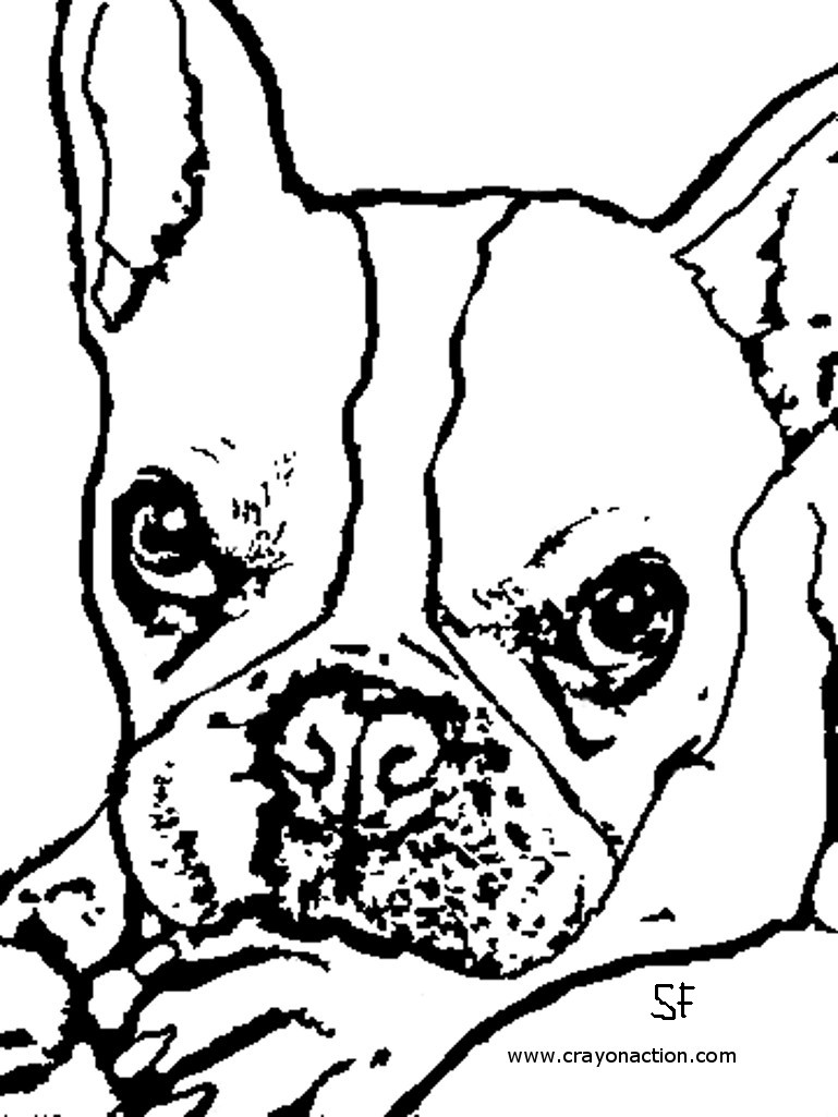 769x1025 French Bulldog Coloring Page Crayon Action Coloring Pages
