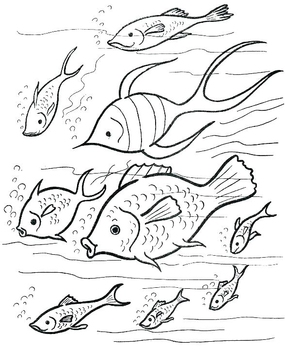 Chowder Coloring Pages French Fries Coloring Page French Fries 588x720 Chowder Coloring Pages French Fries Coloring Page French Fries