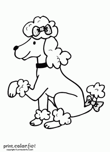 Poodle Dog Print. Color. Fun! Free Printables, Coloring Pages 363x500 Poodle Dog Print. Color. Fun! Free Printables, Coloring Pages