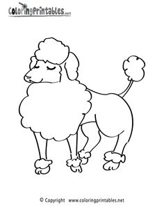 Printable Poodle Coloring Page. Free Pdf Download 236x305 Printable Poodle Coloring Page. Free Pdf Download