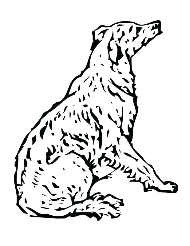 Sled Dog Coloring Pages Poodle Coloring Pages Best Coloring Pages 618x800 Sled Dog Coloring Pages Poodle Coloring Pages Best Coloring Pages