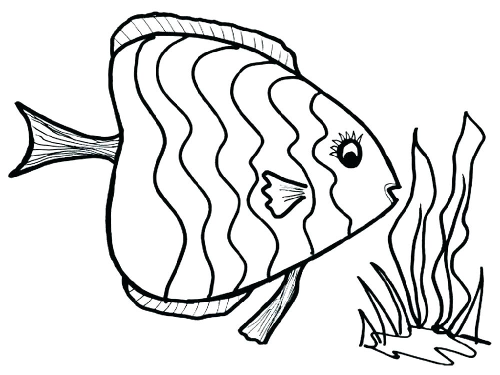 1000x750 Fish Color Pages Realistic Fish Coloring Pages Fish Images