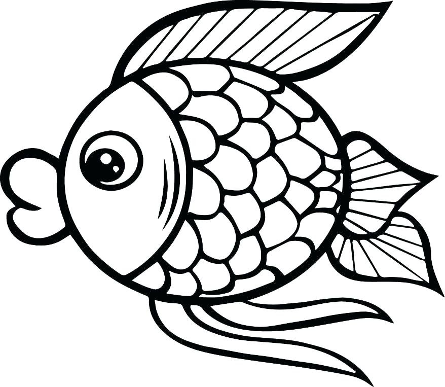 878x763 X Ray Fish Coloring Page
