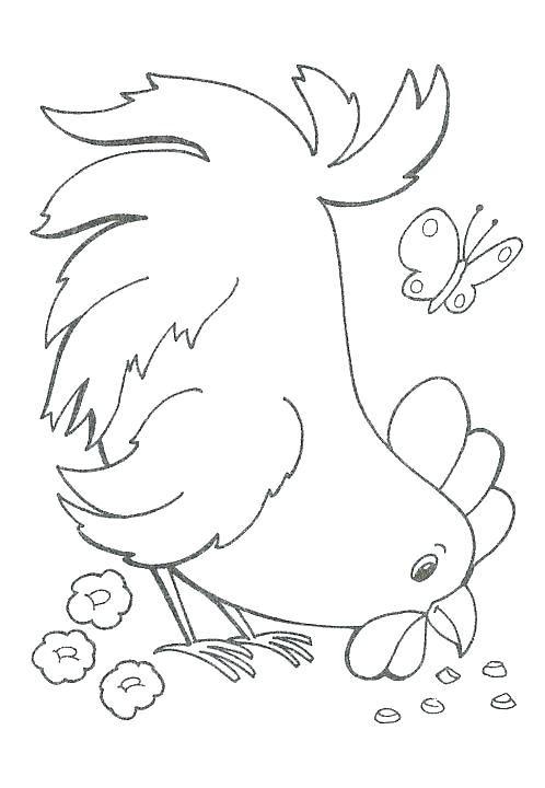 498x720 Detail Bird Coloring Sheet Chicken Picture Coloring Book Sonic