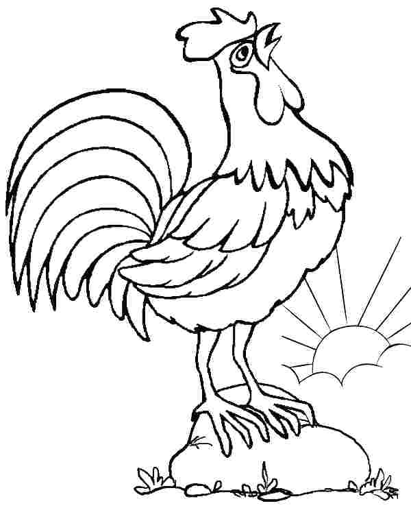 600x744 Chicken Coloring Page Free Printable Chicken Coloring Pages How