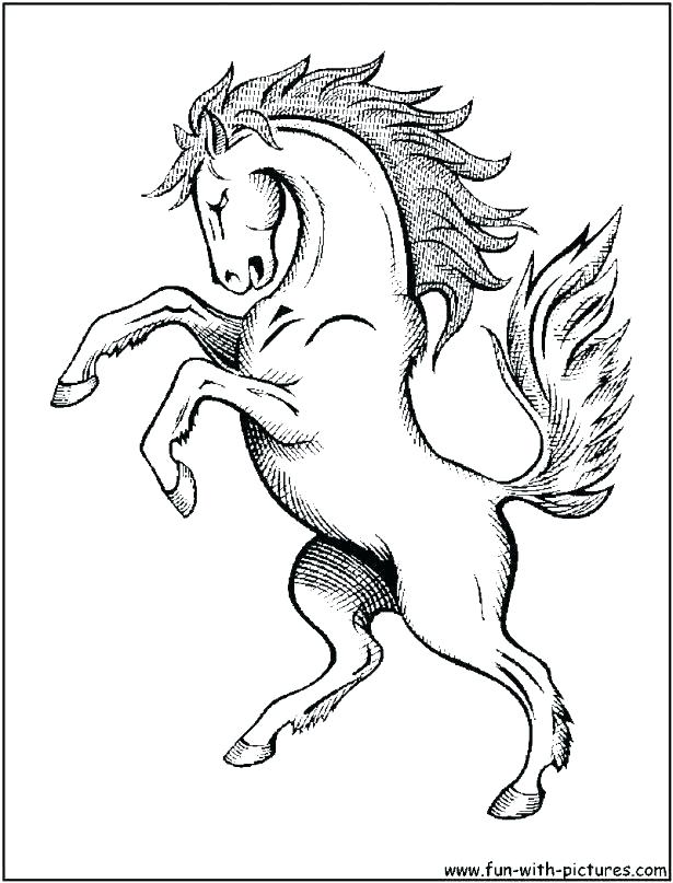 615x807 Magnificent Friesian Horse Head Coloring Pages Component