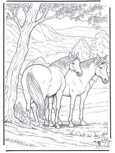 236x314 Pin By Faustina Barron On Horses Coloring Pages