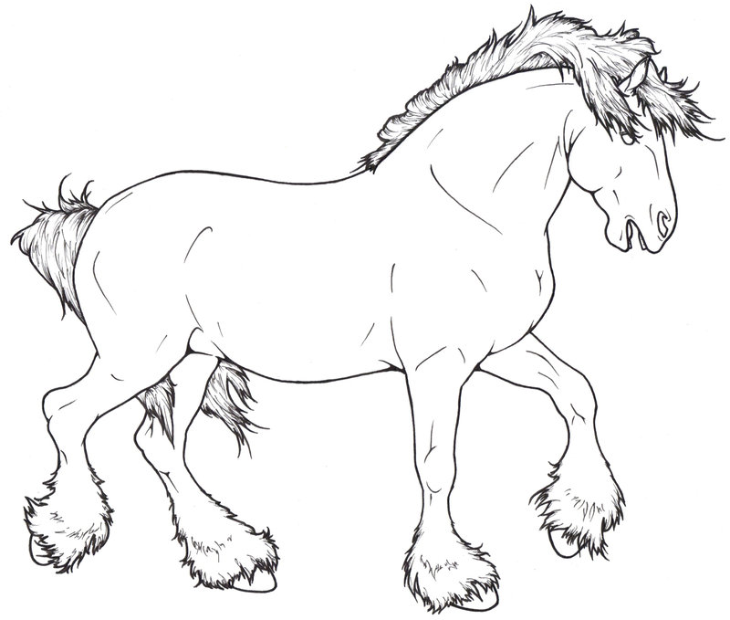 800x679 Shire Lineart By Requay