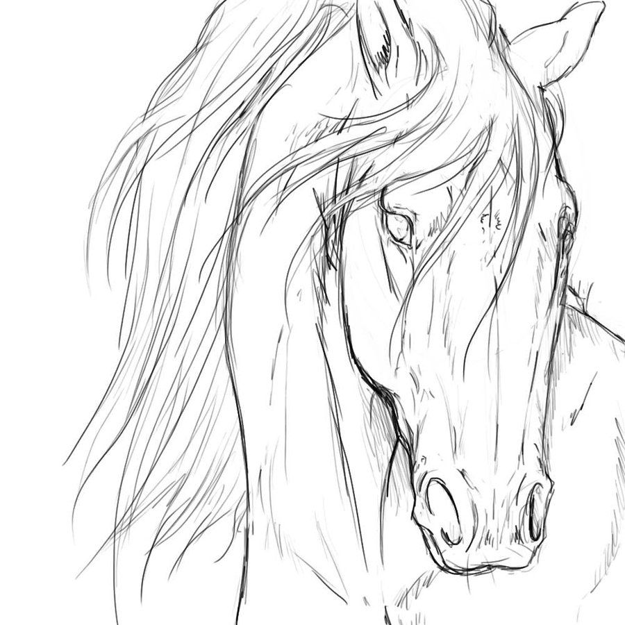 900x900 Wacom By On @ Horse