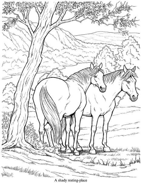 Friesian Horse Coloring Pages at GetColorings.com   Free printable ...