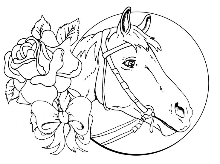 Horse Coloring Pages For Adults 736x551 Horse Coloring Pages For Adults
