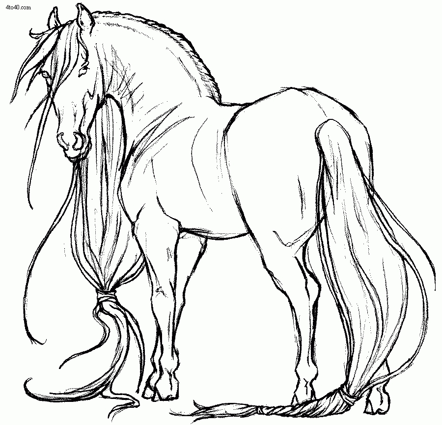 Realistic Horse Coloring Pages 900x865 Realistic Horse Coloring Pages