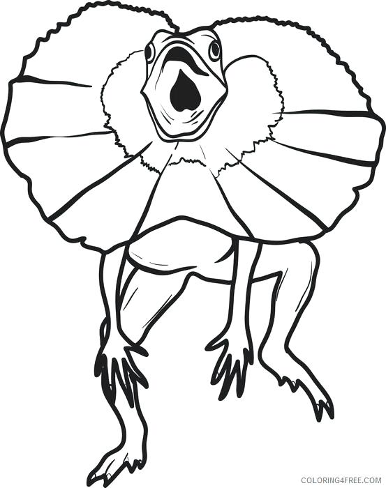 553x700 Lizard Coloring Pages Frilled Lizard Coloring Pages Monitor Lizard