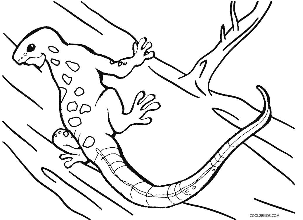 1037x751 Printable Lizard Coloring Pages For Kids Cool2bkids