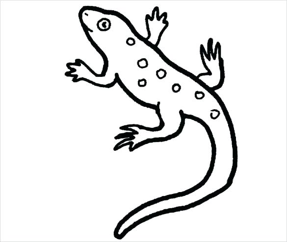585x494 Reptile Coloring Page Amphibian Coloring Pages Reptile Coloring