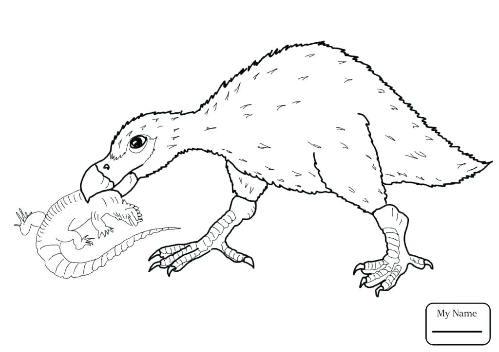 1024x724 Lizard Coloring Growth Gecko Coloring Page Animal Pages Lizard