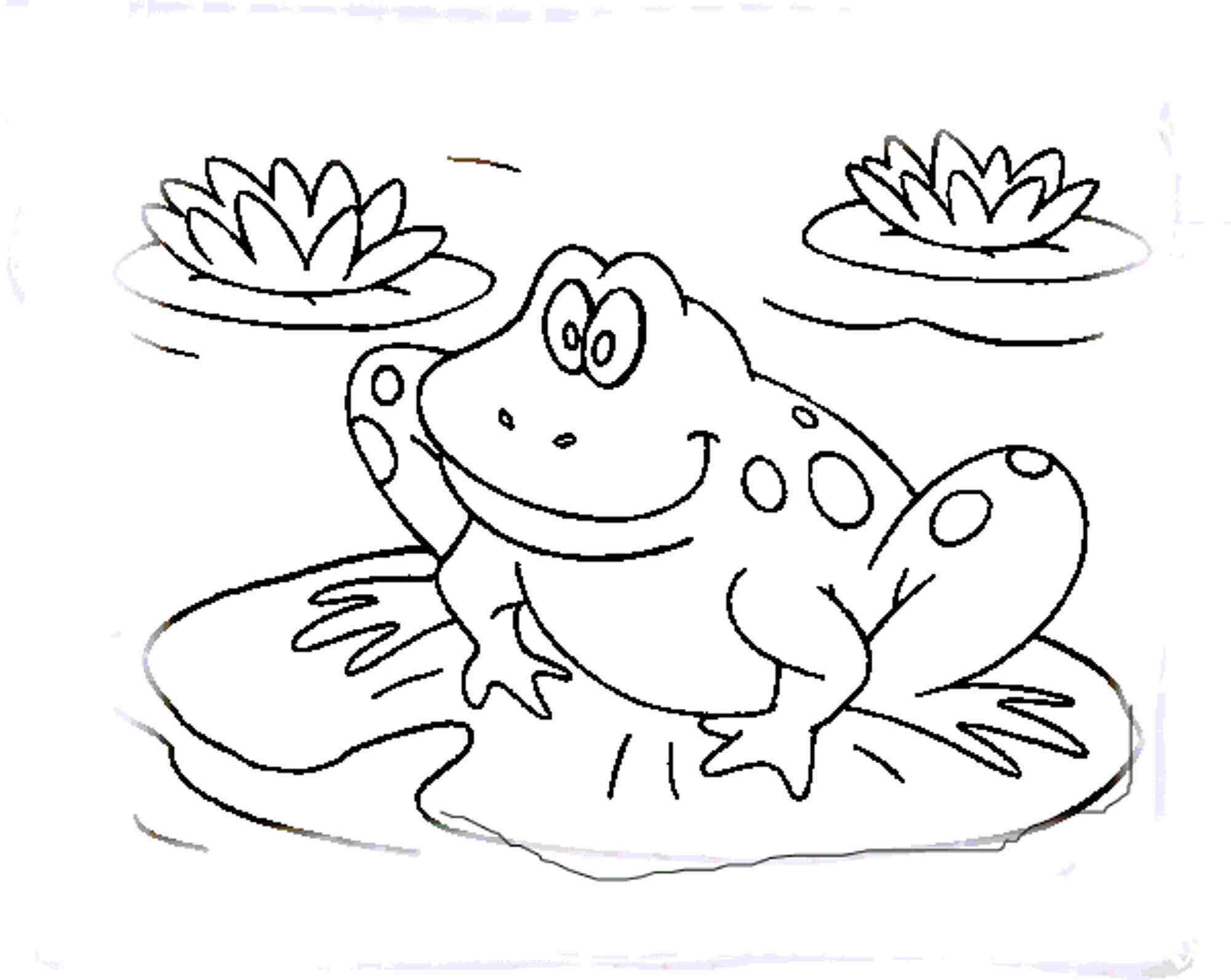 2000x1593 Elegant Confidential Frog To Color Free Printable Coloring Pages