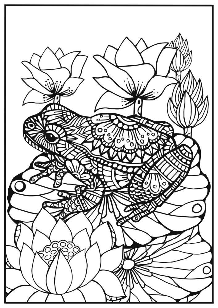707x1000 Frog Adult Coloring Pages Lovely 131 Best Coloring For Boo Images