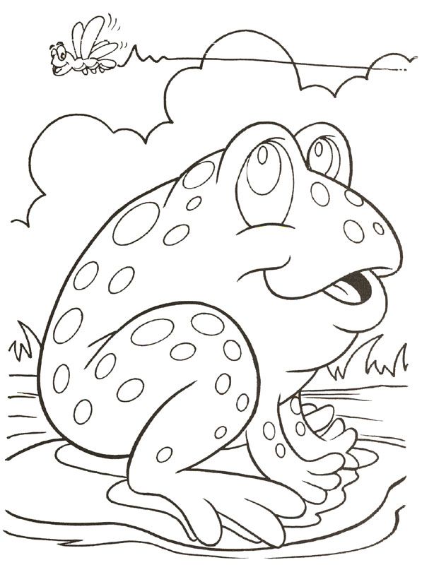 614x800 25 Delightful Frog Coloring Pages For Your Little Ones Toad