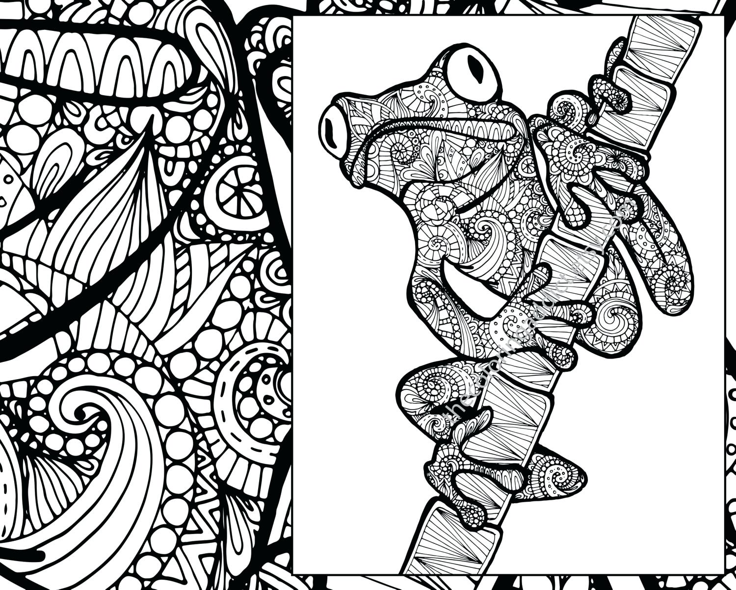 1500x1203 Frog Coloring Pages Online Sheet Animal Adult Page Zoom Free