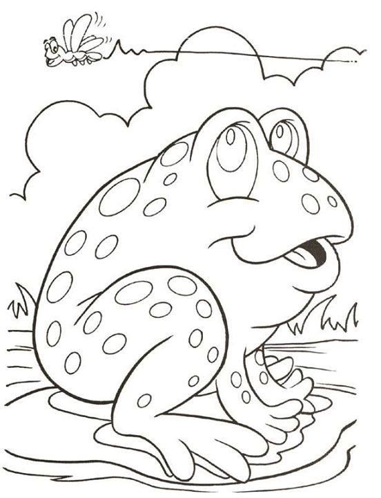 552x720 Pin By Lou Cariveau On Line Drawings Frogs