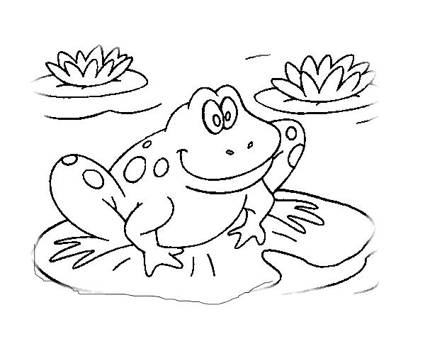 Frogs Coloring Pages Frogs Coloring Pages Frog Coloring Book 600x478 Frogs Coloring Pages Frogs Coloring Pages Frog Coloring Book