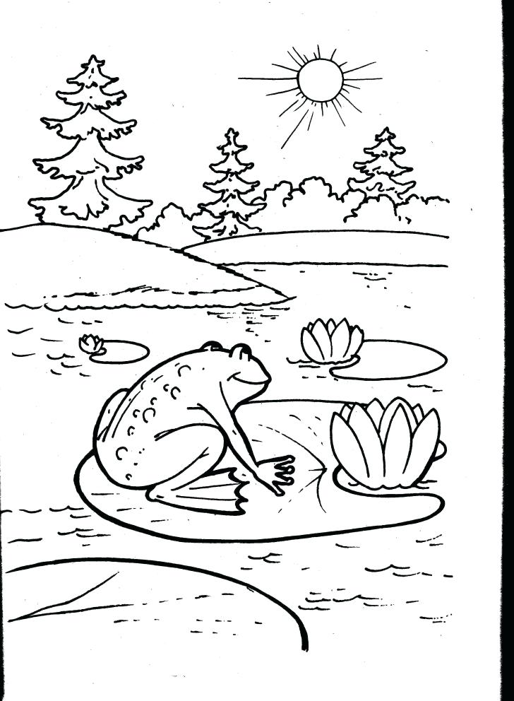 728x992 Frog And Toad Coloring Pages Coloring Pages Of Frogs Coloring