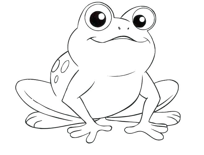 659x501 Printable Frog Coloring Pages Best Tree Frog Coloring Page Online