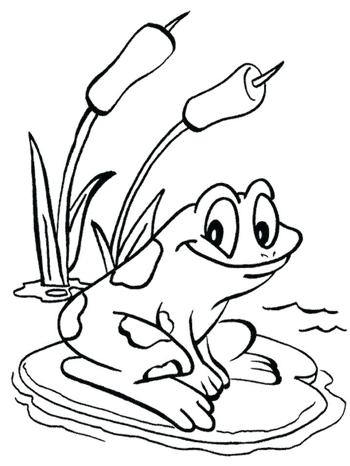718x957 Cartoon Frog Coloring Pages Of Frogs Best On Model With Pictures