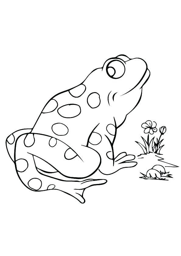595x842 Printable Frog Coloring Pages Related Post Tree Frog Printable