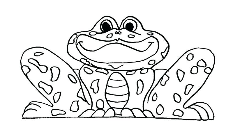 800x454 Frog Color Page Simple Frog Coloring Page For Kids Frog Coloring