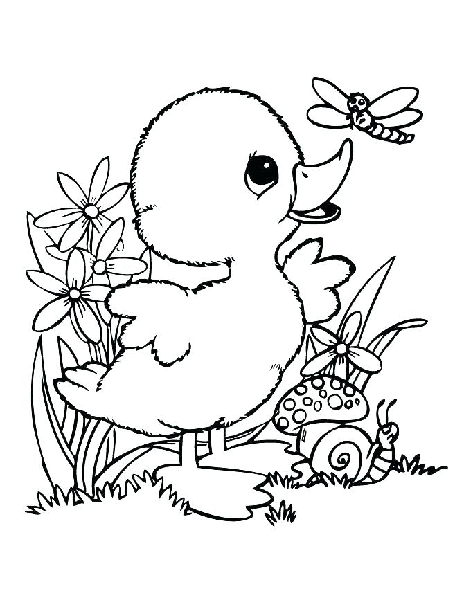 670x867 Frog Coloring Pages Frog Coloring Book E Coloring Book Pages Free