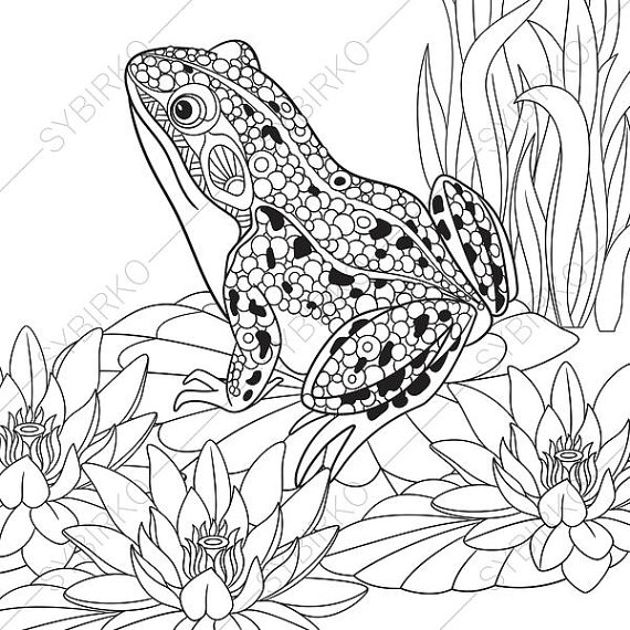 570x570 Frog. 2 Coloring Pages. Animal Coloring Book Pages For Adults.