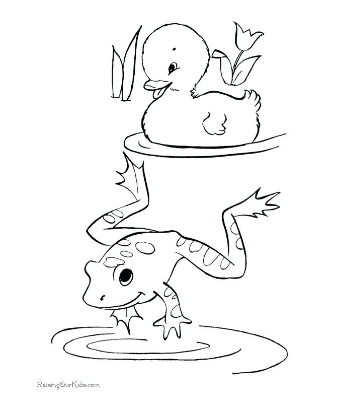 670x820 Frog Color Pages Free Printable Kids Frog Coloring Page Frog