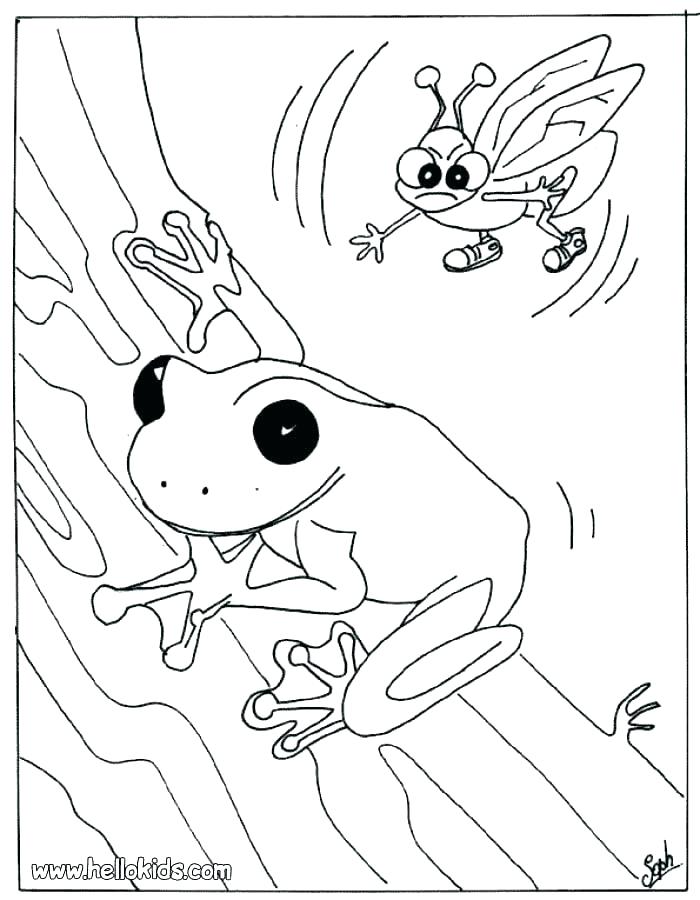 700x900 Pictures Of Frogs To Color Beautiful Inspirational And Creative