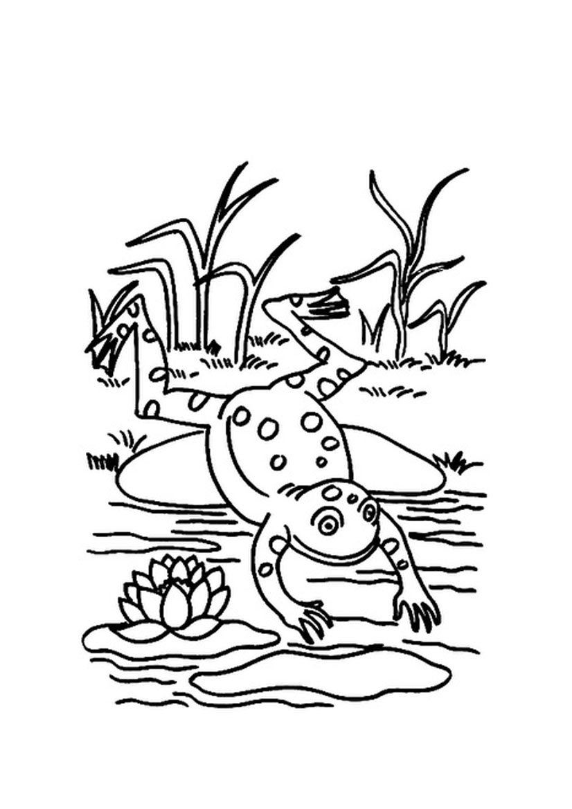826x1169 Printable Frog Coloring Pages Delightful Images Inside Jumper Page