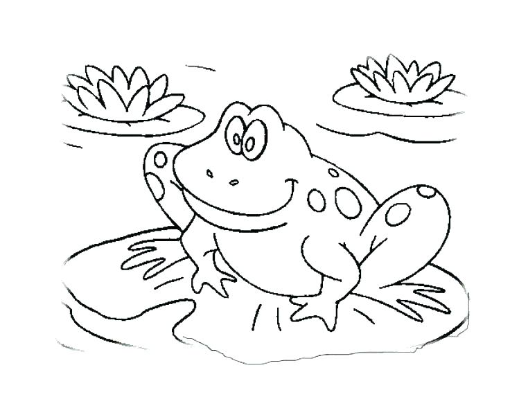 736x586 Free Frog Coloring Pages Coloring Page Frog Coloring Pages Frog