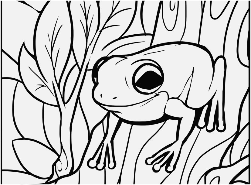 A Good Picture Frog Coloring Pages Top Rated 827x609 A Good Picture Frog Coloring Pages Top Rated