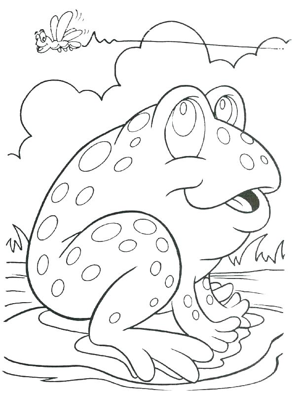 Frog Coloring Pages For Preschoolers Frog Coloring Pages Preschool 614x800 Frog Coloring Pages For Preschoolers Frog Coloring Pages Preschool