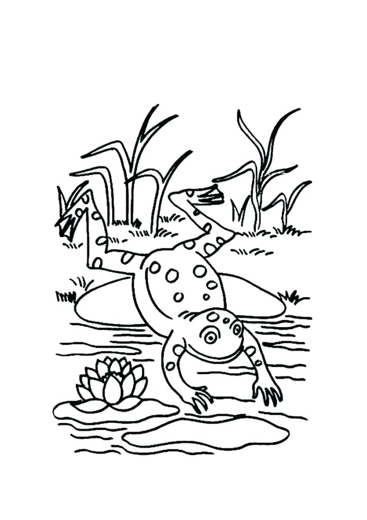 Life Cycle Of A Frog Coloring Page Crafts And Worksheets For Life 724x1024 Life Cycle Of A Frog Coloring Page Crafts And Worksheets For Life