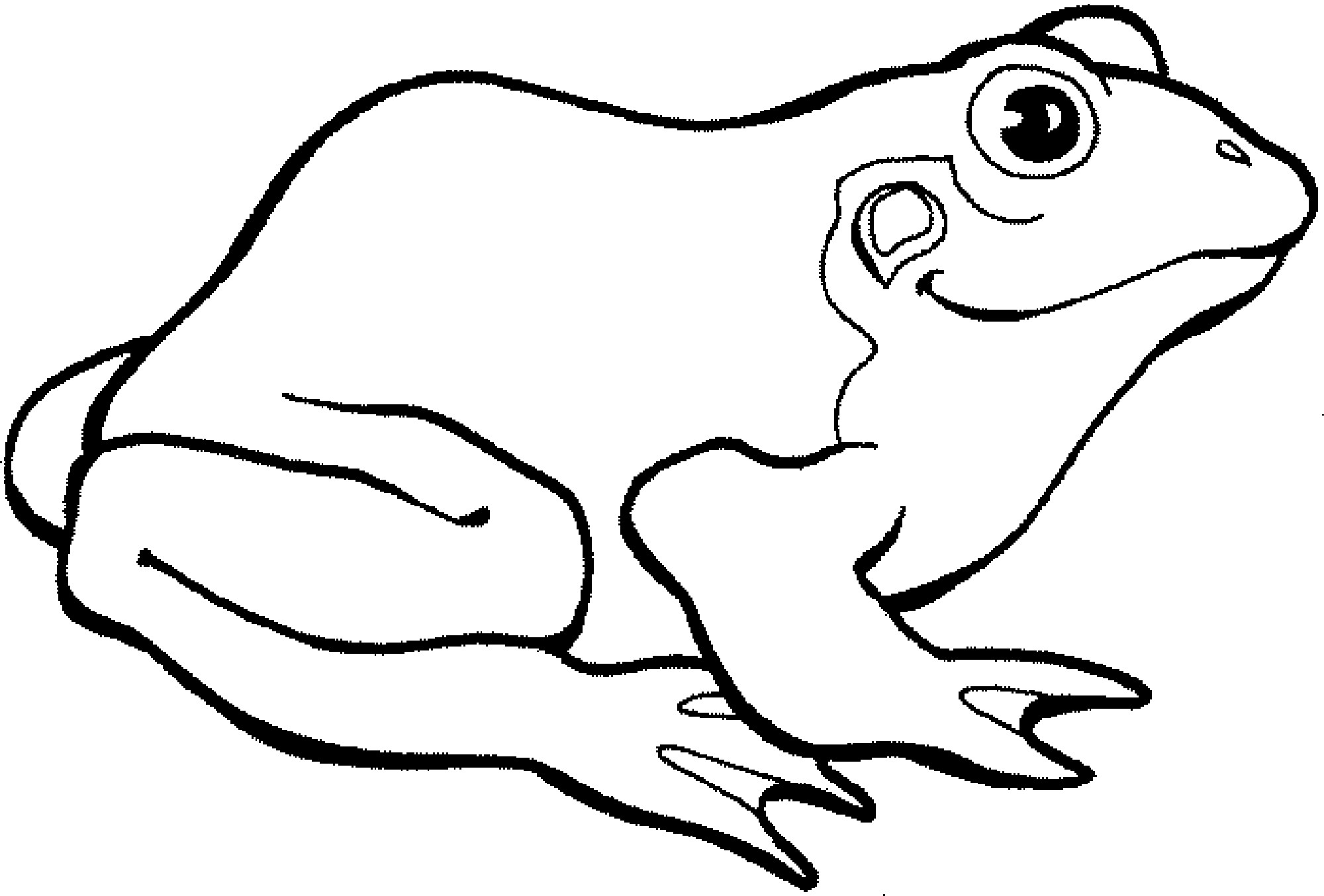 Cartoon Frog Coloring Pages For Preschoolers Qqa Me Arilitv Com 2000x1354 Cartoon Frog Coloring Pages For Preschoolers Qqa Me Arilitv Com