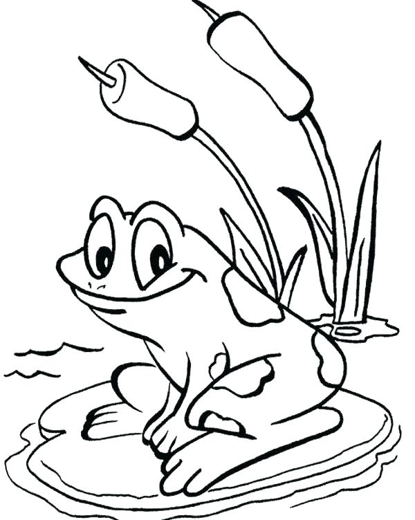 Coloring Pages Frog Frog Life Cycle Coloring Pages 600x752 Coloring Pages Frog Frog Life Cycle Coloring Pages