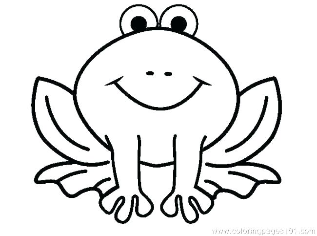 Coloring Pages Frog Preschool Coloring Pages Of Frogs 650x483 Coloring Pages Frog Preschool Coloring Pages Of Frogs